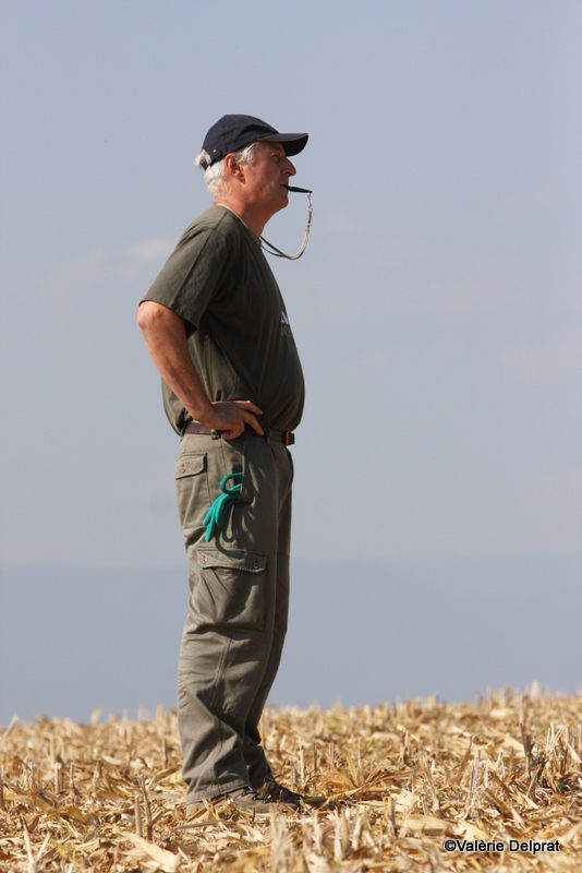 Field Erstein 09 (170).JPG